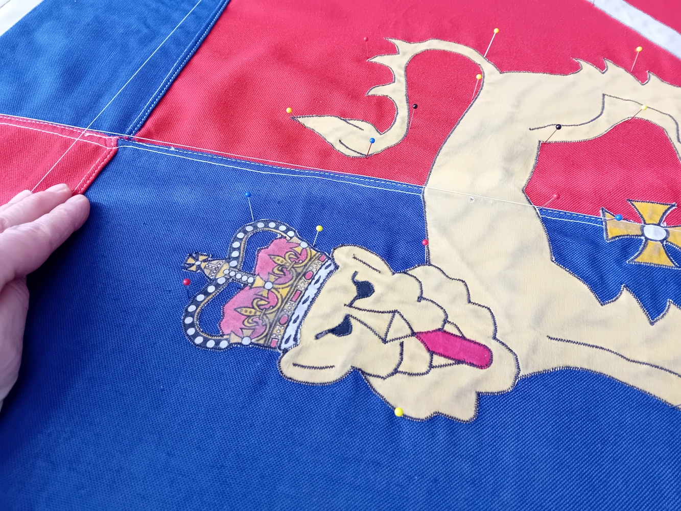 Lion on flag during conservation